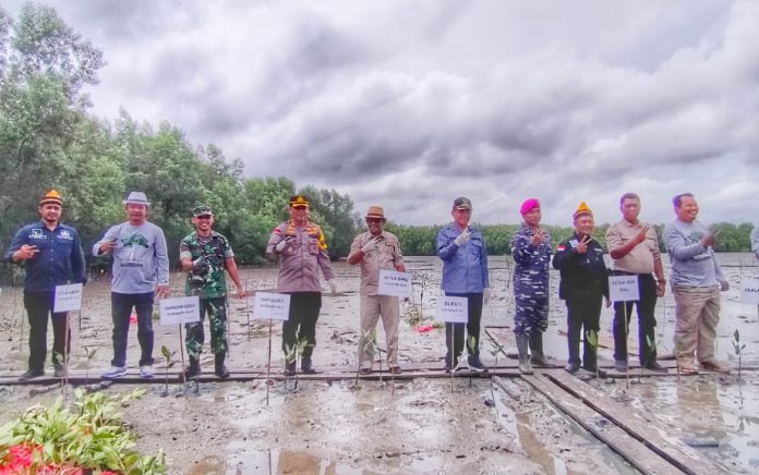 Peringati Hari Mangrove Sedunia, Jikalahari Taja Penanaman Ribuan Bibit Mangrove di Bengkalis dan Indragiri Hilir