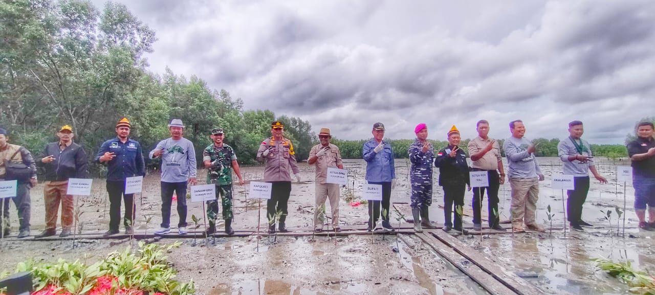 Peringati Hari Mangrove Sedunia, Jikalahari Taja Penanaman Ribuan Bibit Mangrove di Bengkalis dan Indragiri Hilir