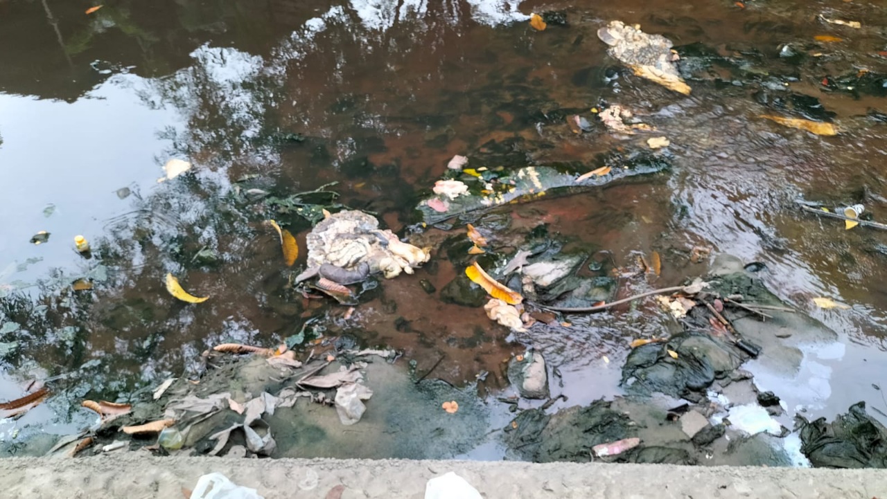 Jeroan Hewan Kurban Cemari Sungai, Kesadaran Warga Kota Pekanbaru soal Lingkungan Dinilai Masih Rendah