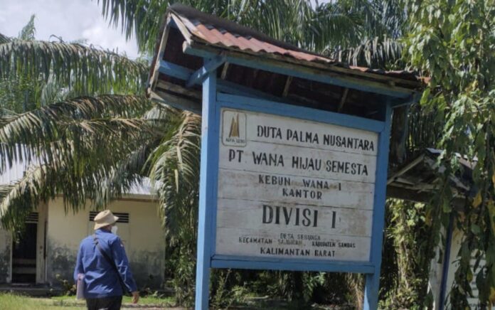 Belasan Lahan Milik Surya Darmadi di Kalimantan Barat Disita Kejagung, Totalnya Sekitar 49.388 Hektar