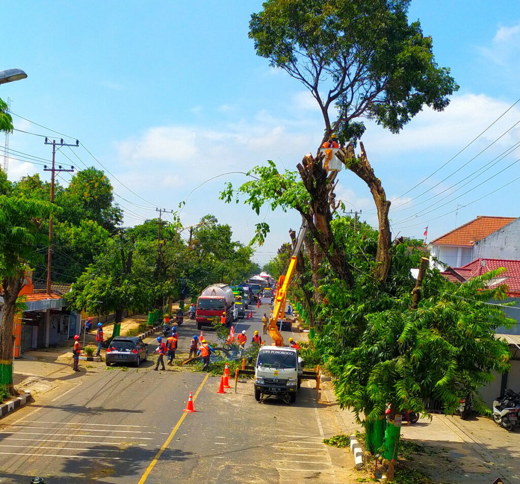 Hadapi Cuaca Ekstrem, PLN Sampaikan 5 Imbauan untuk Jaga Keselamatan Pelanggan