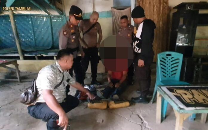 Polsek Tambusai Bekuk Bandar Ganja Kering 1,8 Kg